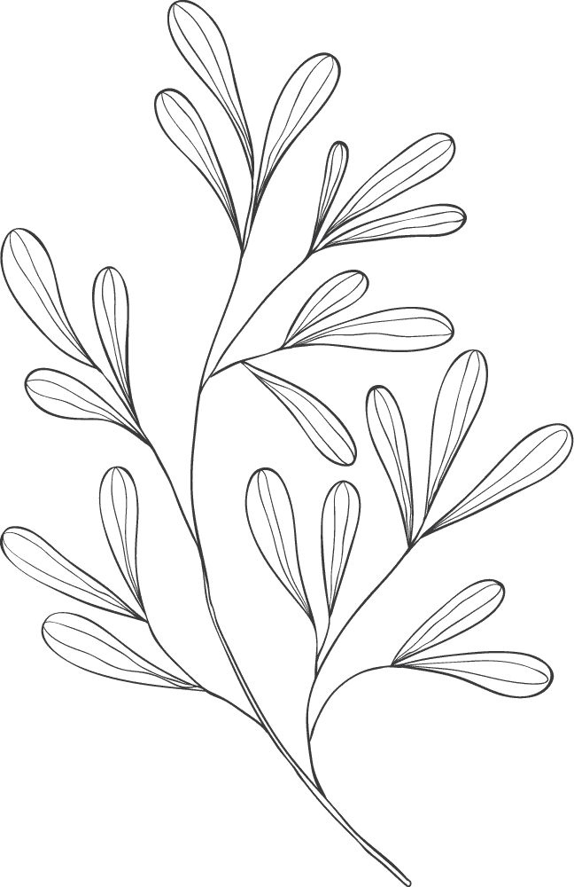 Illustration eines Zweigs mit Blättern in Schwarz-Weiß.