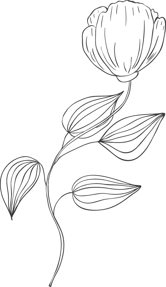 Blumenmotiv in Schwarz-Weiß, ideal für sinnliche Boudoir- und persönliche Portraitaufnahmen.