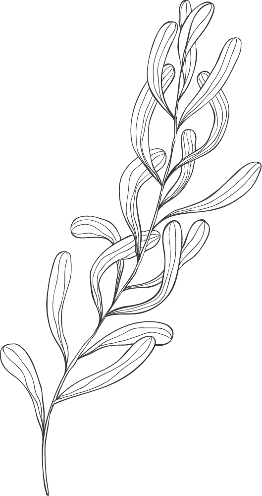 Boudoir Fotoshoot Berlin.